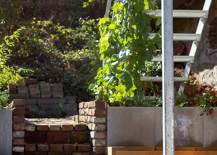 Hoopen Restaurant Deele 4* 瓦尔堡